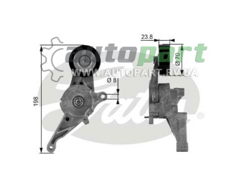 Натягувач ременя генератора (з 2006.01) VW Transporter T5 1.9TDI 2006-2009 GATES T38436